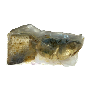 Délice d’Afrique. Poisson fermenté séché (Lanhoin) 100g