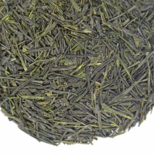 SENCHA REI 2024