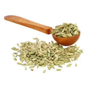 Graines de Fenouil 100g