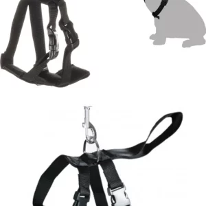 Harnais de sécurité pour voiture : Harnais pour chien avec Poignée