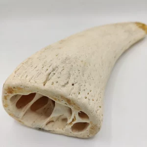 Noyaux de Cornes de Buffle pour Chiens