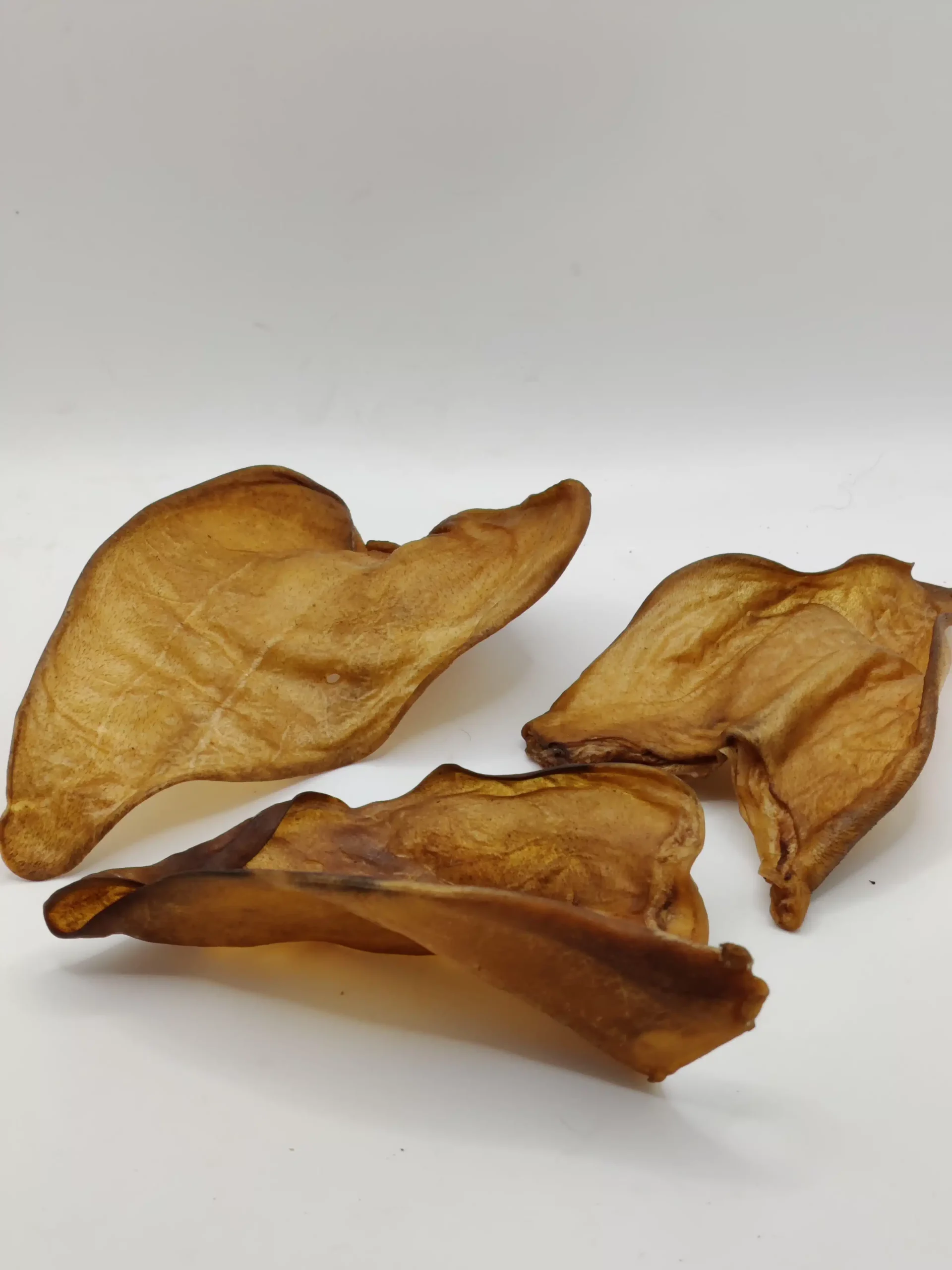 Oreille de Buffle Séchée pour Chien