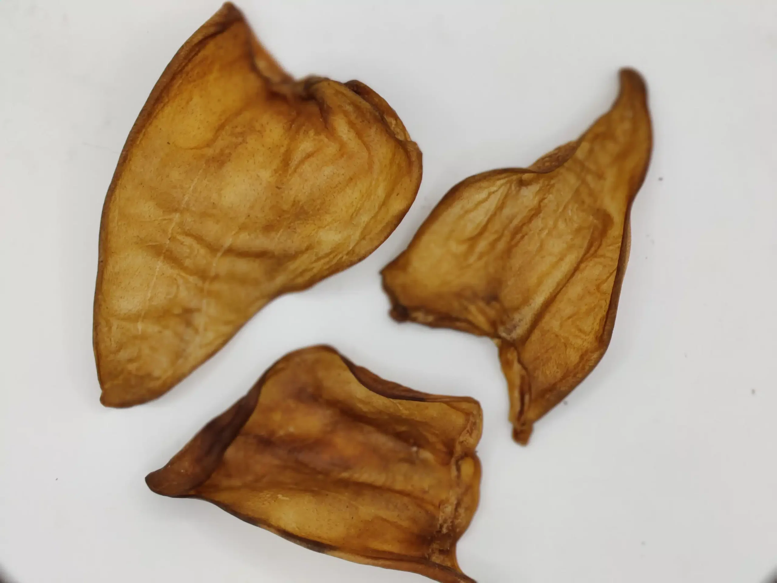 Oreille de Buffle Séchée pour Chien – Image 2