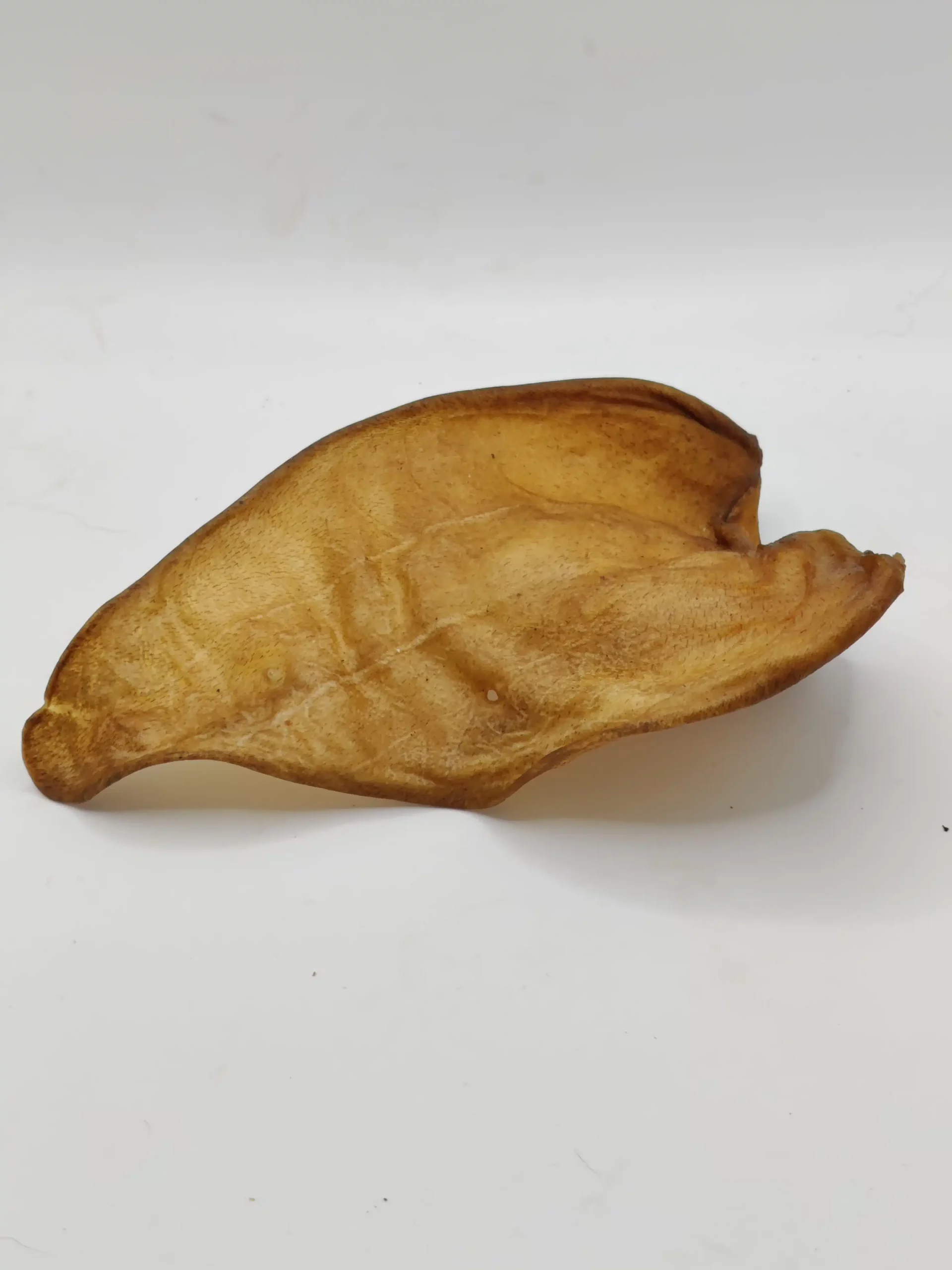 Oreille de Buffle Séchée pour Chien – Image 3