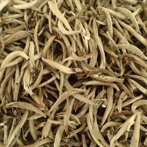 Thé Blanc Ghangxi Silver Needle
