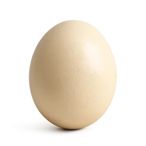 Œuf d&rsquo;Autruche Frais de 1,7 kg