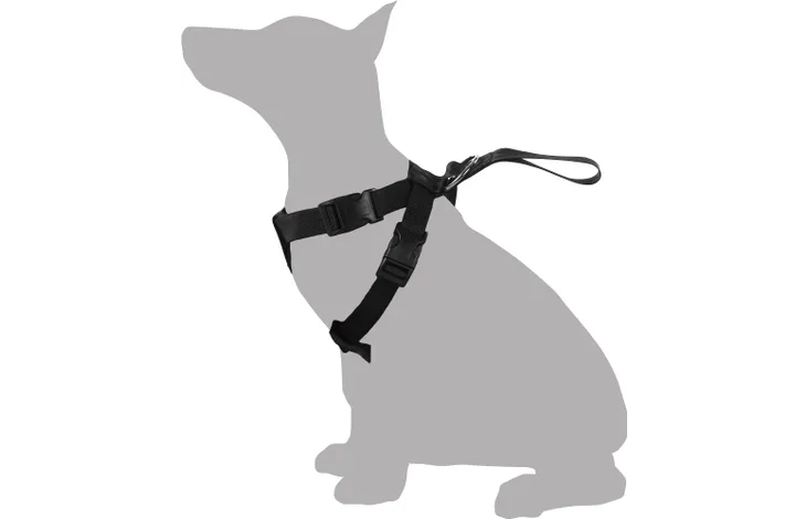 Harnais de sécurité pour voiture : Harnais pour chien avec Poignée – Image 3