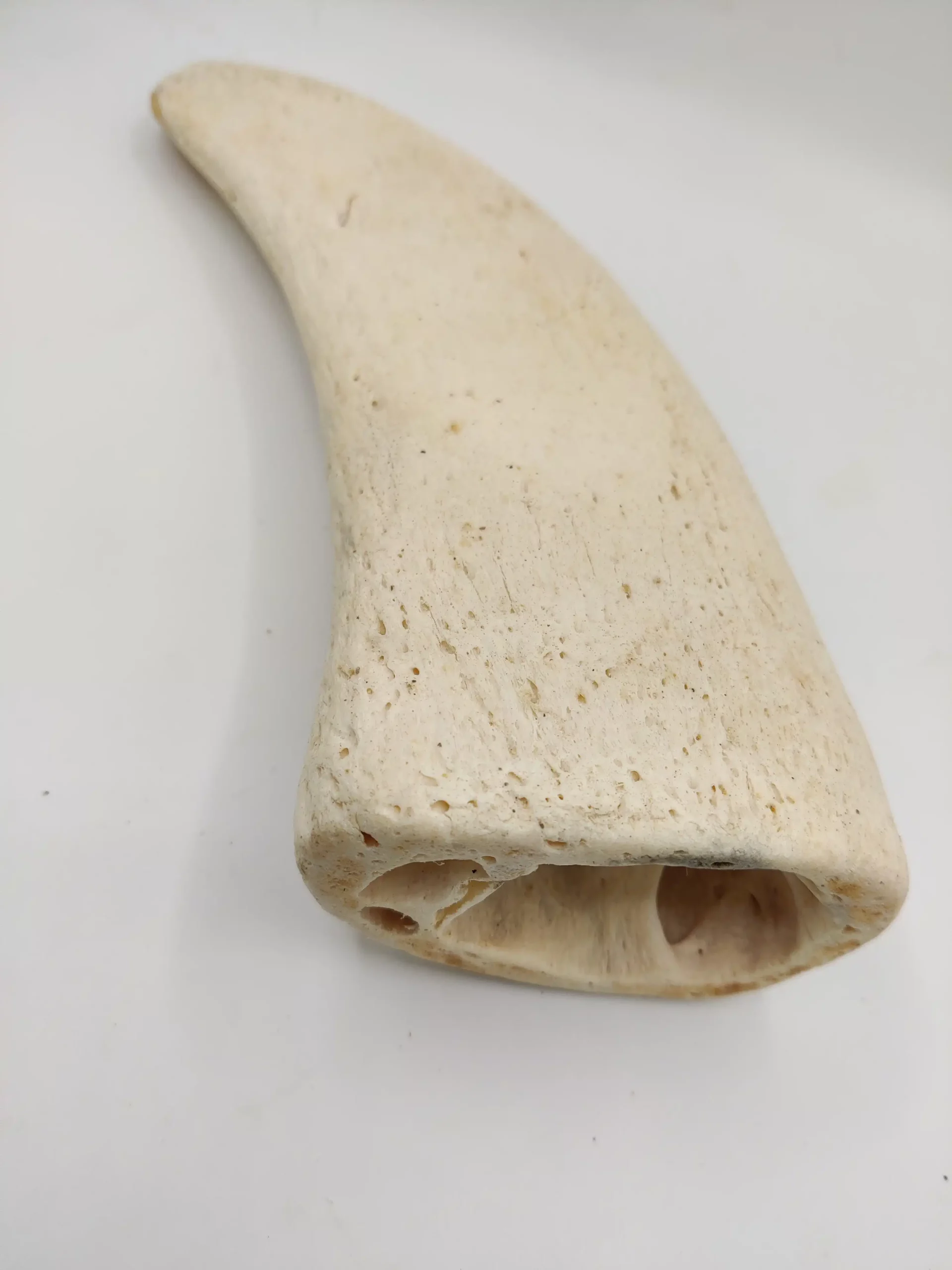 Noyaux de Cornes de Buffle pour Chiens – Image 3