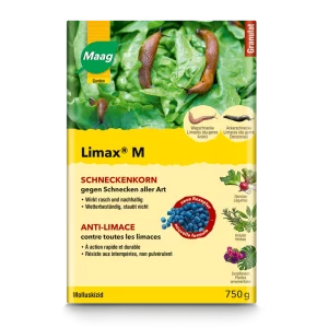 Limax M