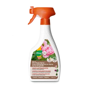 Stop-champignons en spray