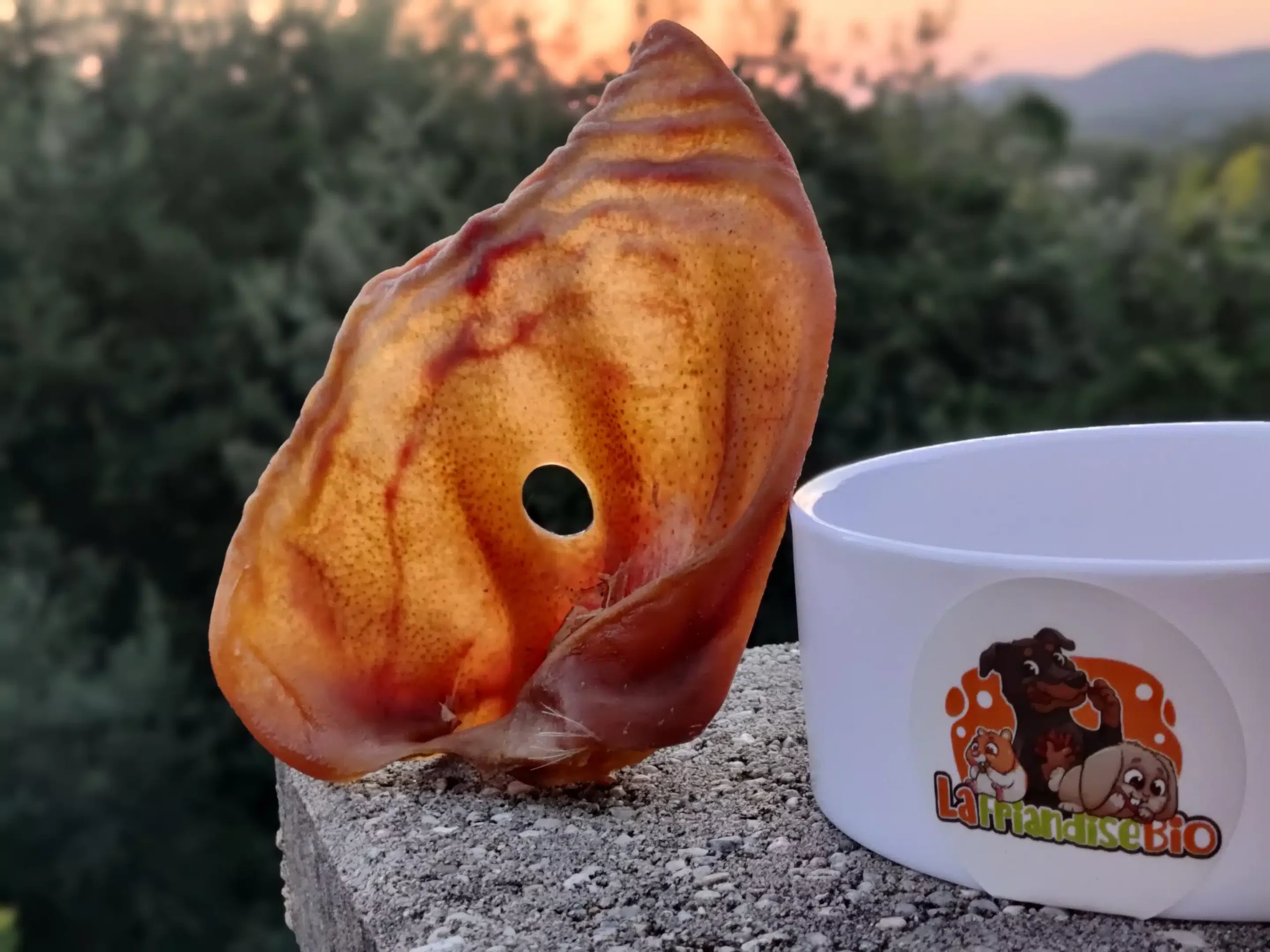 Oreilles de Porc Séchées pour Chien – Image 2