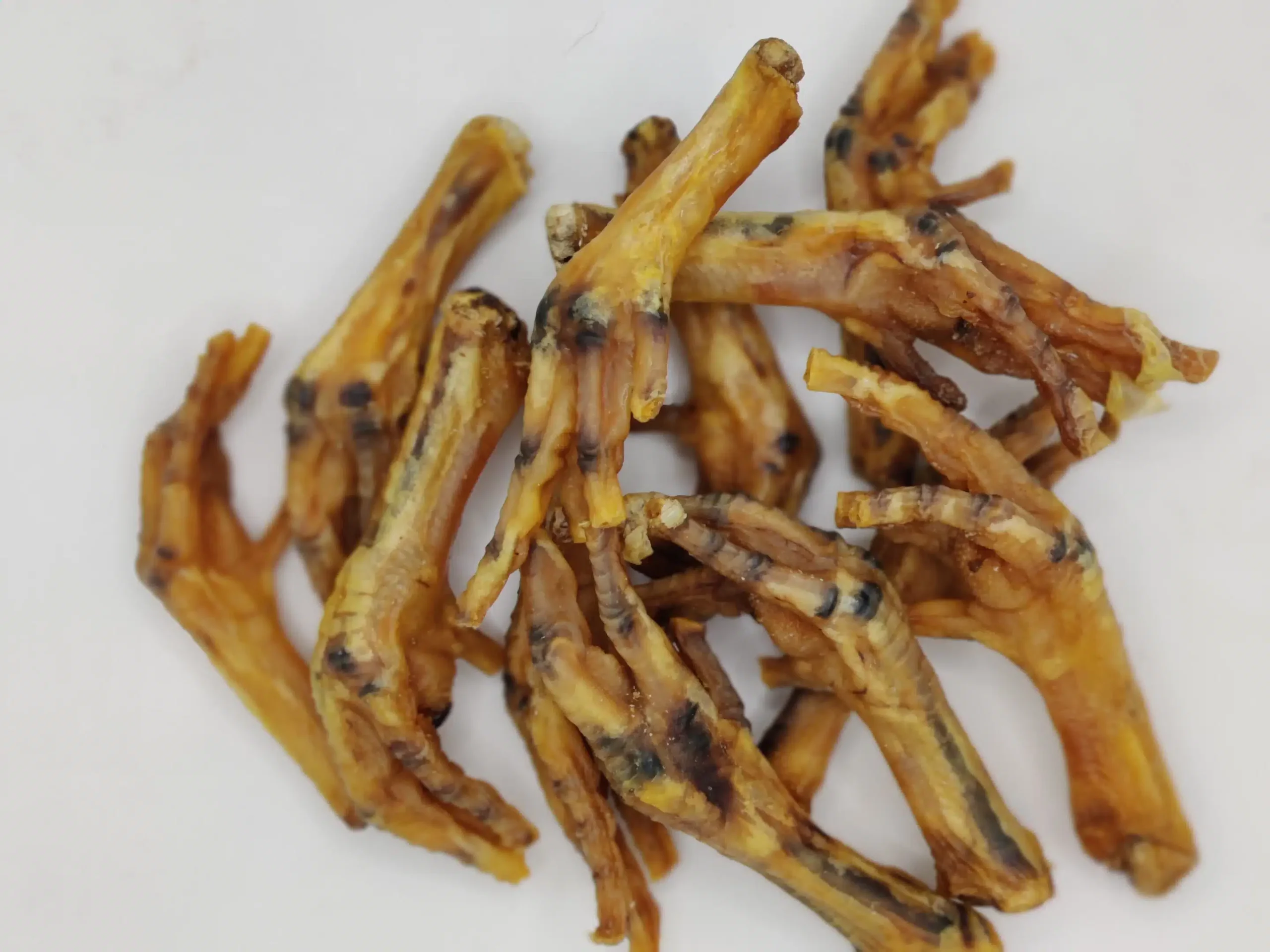 Pattes de Poulets Séchées pour Chiens – Image 5