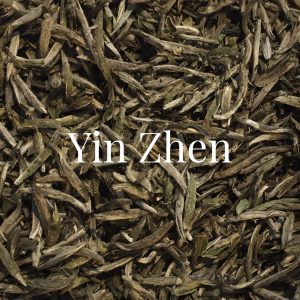 Yin Zhen